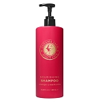 Diversified Hospitality Panama Jack Vivid Creamsicle Collection Shampoo 16.23 Oz. Bottle For Pump Dispenser 12 Per Case Price Per Case